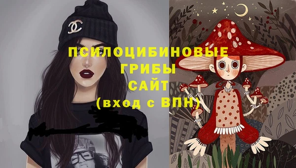 молекула духа Алзамай