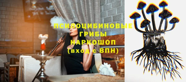 молекула духа Алзамай
