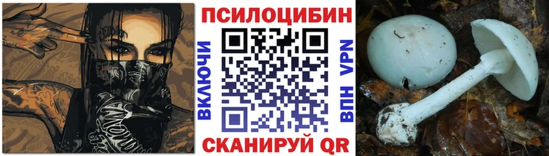 Псилоцибиновые грибы мицелий  где найти наркотики  mega зеркало  Миасс 